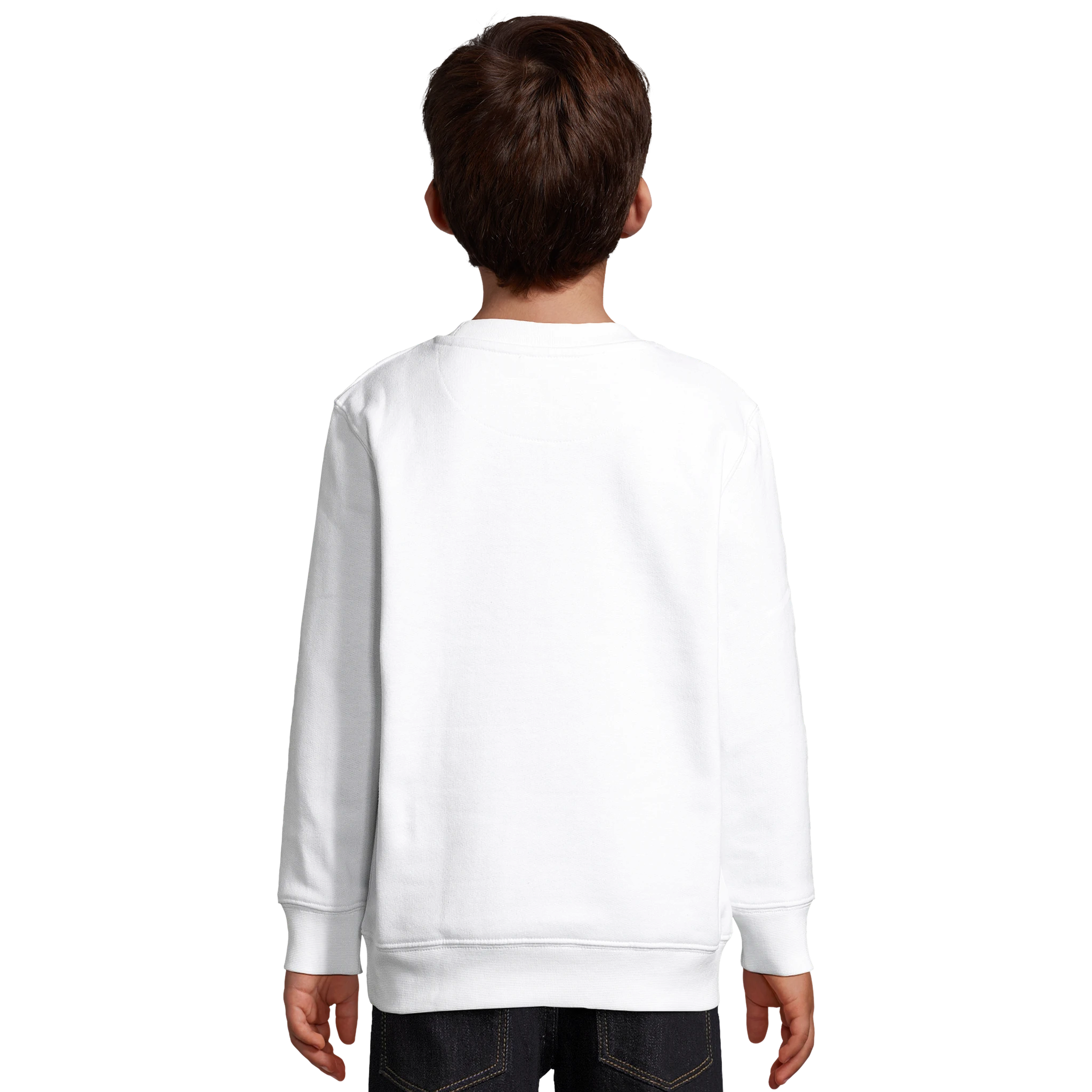 1b2b8f19-bb50-4a0e-bce9-baad85e55eda