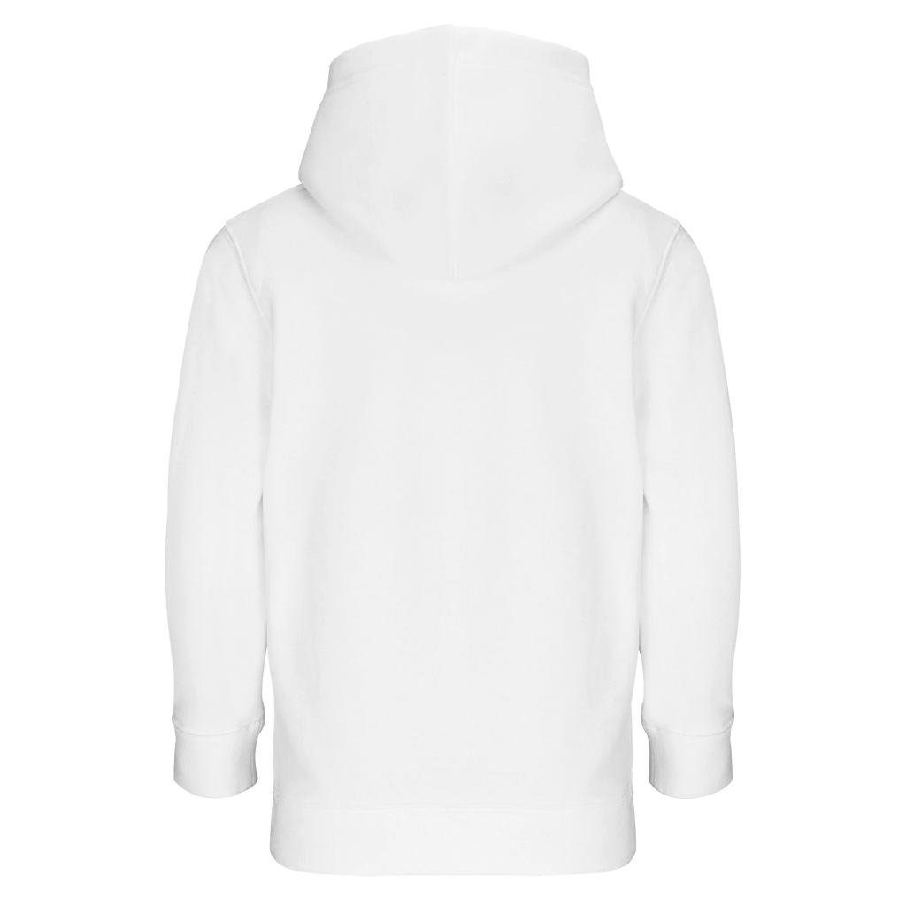 2fb29737-367b-418e-95e3-ef4536c49411